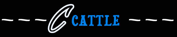 Cattle